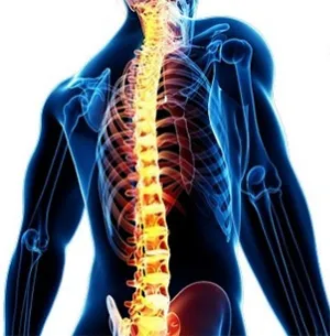 postura colonna vertebrale